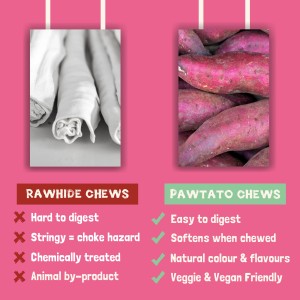 Pawtato Tubes Menta e Prezzemolo Vegan 90gr Benevo