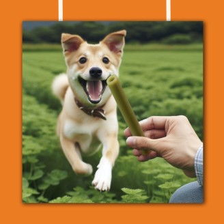 Pawtato Tubes Menta e Prezzemolo Vegan 90gr Benevo