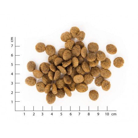 VEGDOG 100gr Green Crunch Dog