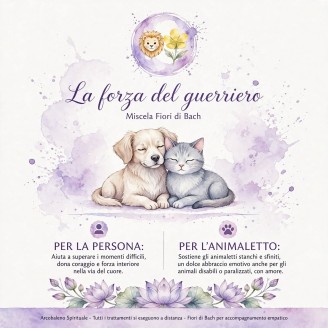 1° Miscela: La forza del...