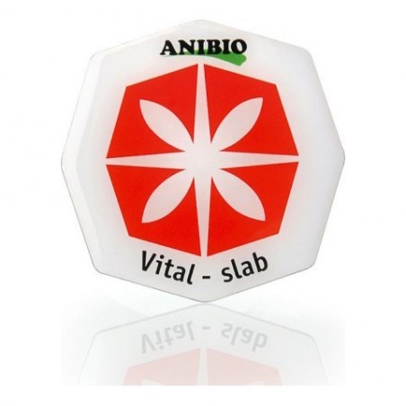 Anibio Vital Slab per vitalizzare cibo e acqua