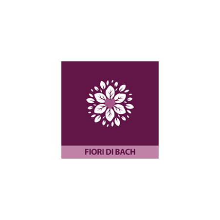 4° Miscela: Il Dono Spirituale