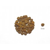 Dog's Love 2 kg Salmone e Trota  Grain Gluten Free per cani