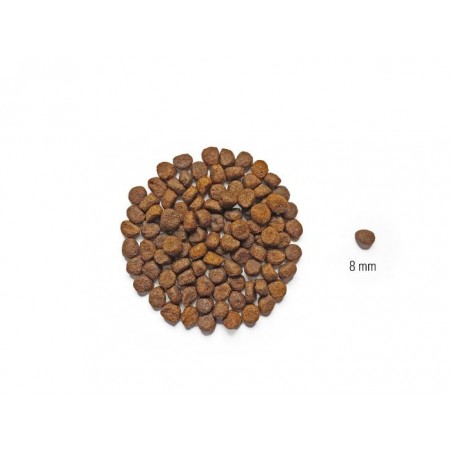 Dog's Love Umido Vegetale per cani 400 gr