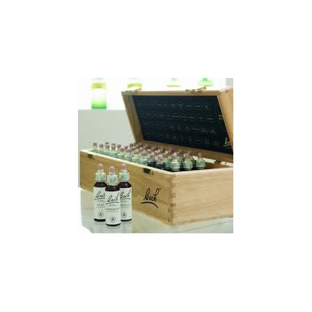 fiori di  bach cane gatto maltrattamenti