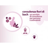 consulenza gratuita per fiori di bach cane gatto persone