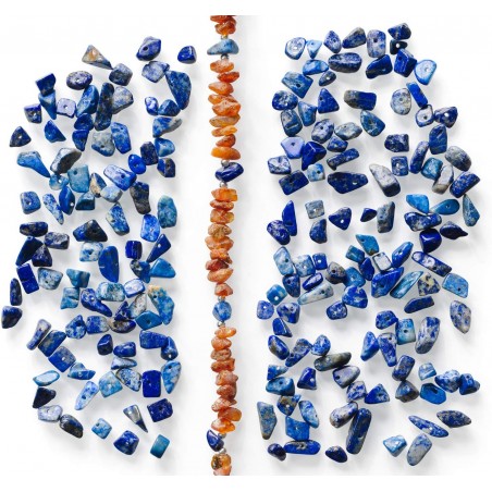 Collare in Ambra Baltica e Sodalite per cani e gatti Mis. RCS30