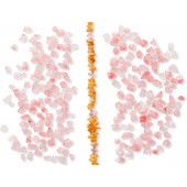 copy of Phyto No Pick NOVITA'