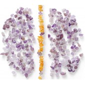 copy of Phyto No Pick NOVITA'