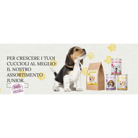 Dog's Love Umido Vegetale per cani 400 gr
