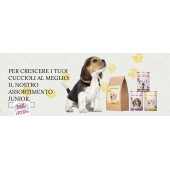 Dog's Love Dry Junior Chicken 12 KG