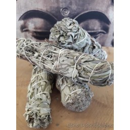 Salvia Officinalis per...