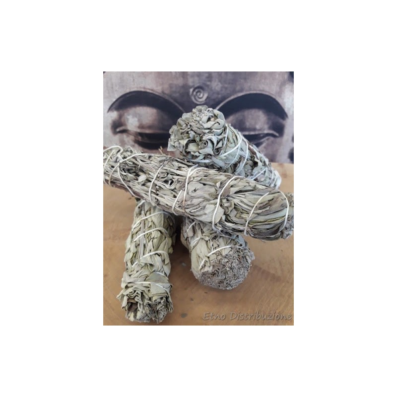 Salvia Officinalis per Fumigazioni