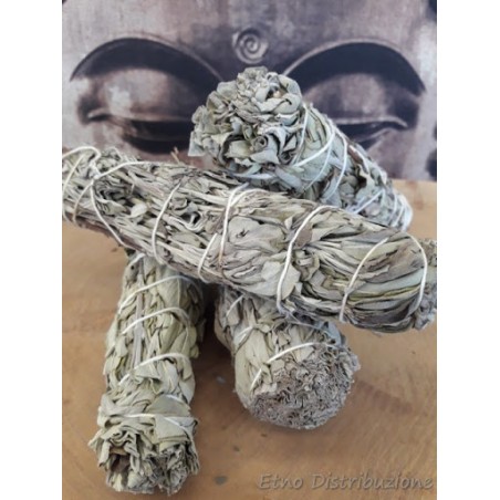 Salvia Officinalis per Fumigazioni