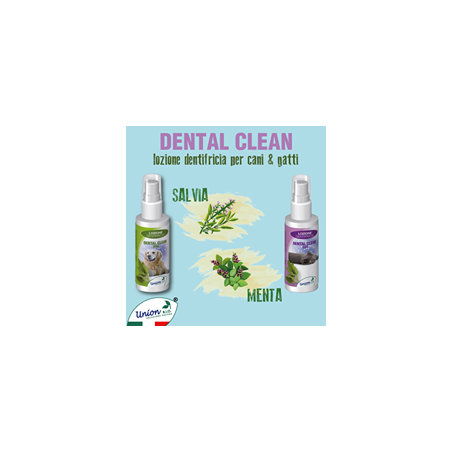 Union Bio Dental Clean Cat
