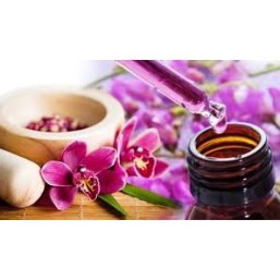 Fiori per periodo del calore