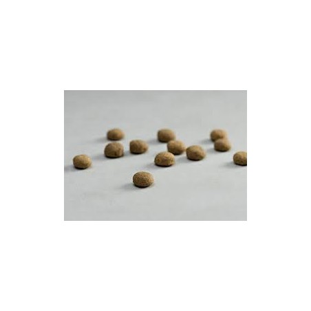 Prins Crocchette 10 kg GastroIntestinal Idrolizzato Low Fat * Grain Free*