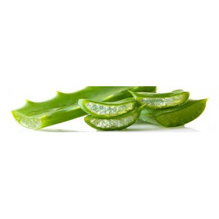 Aloe Arborescens per cani e per gatti