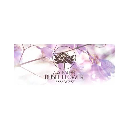 Bush Flower Detox Pets 30 ml