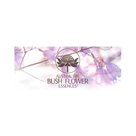 BUSH FLOWER DETOX PETS