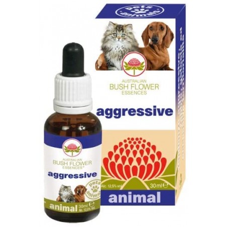 bush flower aggressive