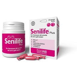 innovet senilife