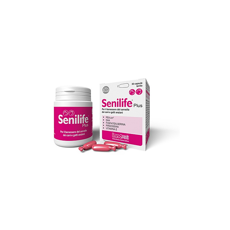 INNOVET SENILIFE FOR DOG AND CAT
