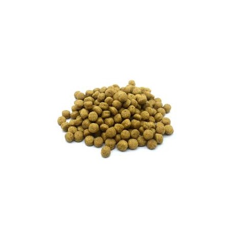 Denkadog Hypo-Sensitive dog 2.5 kg 100% Vegan Gluten Free