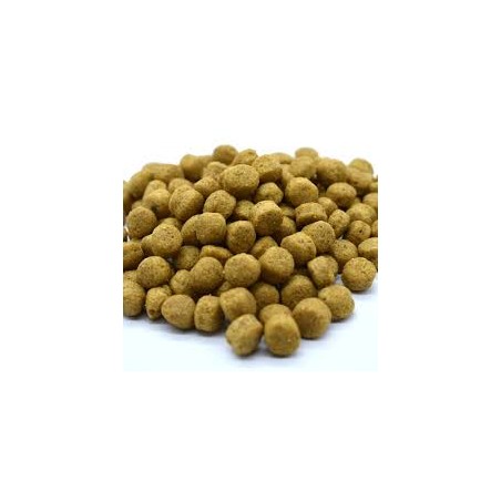 Denkadog Hypo-Sensitive dog 2.5 kg 100% Vegan Gluten Free