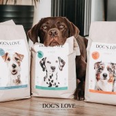 Dog's Love Crocchette Manzo Patata Carote Grain Gluten Free per cani 12 kg