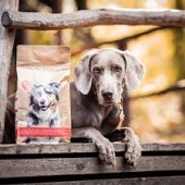 copy of Dog's Love Umido Vegetale per cani 400 gr