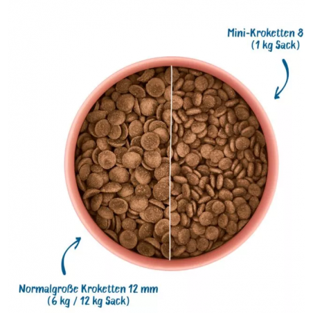 Wow Crocchette 12 kg al manzo Grain Free