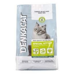 denkacat kitten