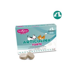 buona pet articolina forte