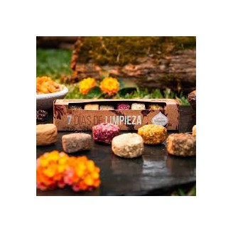 copy of Sagrada Madre 7 days purification