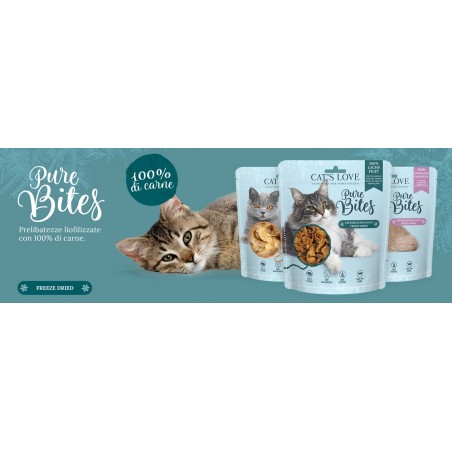 copy of Cat Treats Pure Bites | Northern Prawn