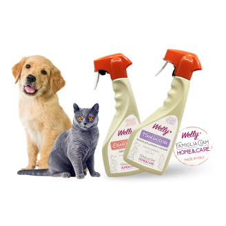 Welly Spray Mangiaodori 500 ml