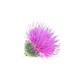 AloePlus Epatico EpaPet +11 kg cane