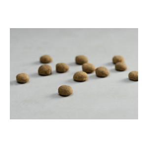Prins 10kg Renal - Epatic Support per cani