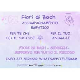 Accompagnamento Empatico...