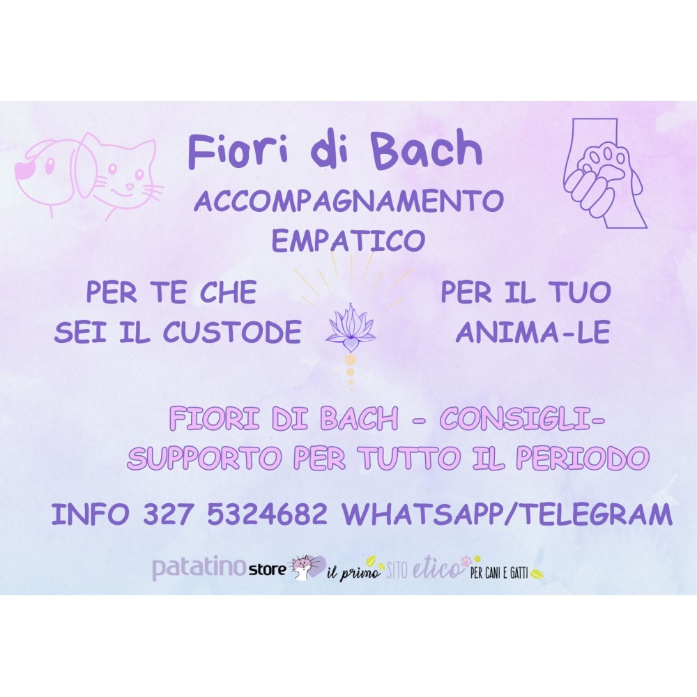 Accompagnamento Empatico per te e per il tuo animaletto