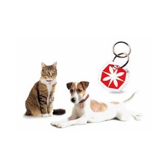 PROMO Anibio Tic Clip medaglietta + Tic Off per cani e gatti