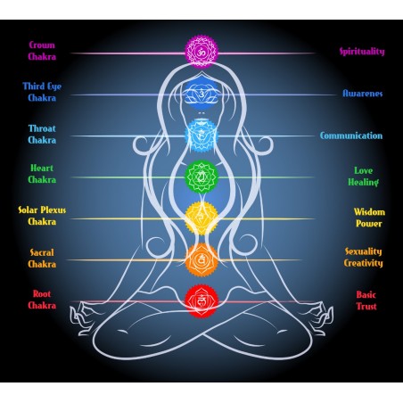 copy of 7 CHAKRA OIL