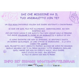 Missione del tuo Anima-le...