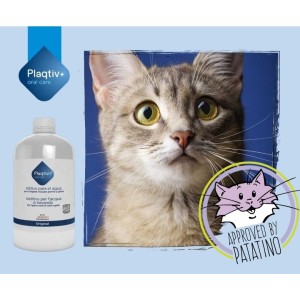 Plaqtiv+ dentifricio in pasta 70 ml