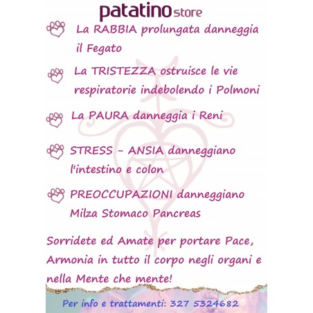 Trattamento Pulizia Energetica a distanza per  Anima-li