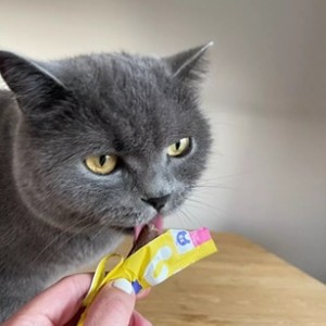 copy of Wow Soft Sticks with chicken