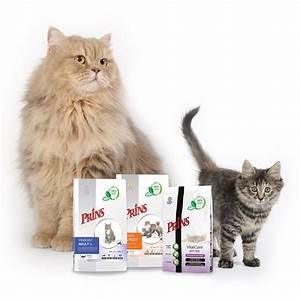 Prins 1.5 KG Vitalcare Sterilizzati per gatti RICCO DI FIBRE