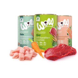 Wow umido 6x400 gr al Salmone per cane Grain Free