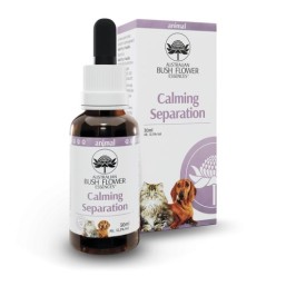 Bush Flower Calming...